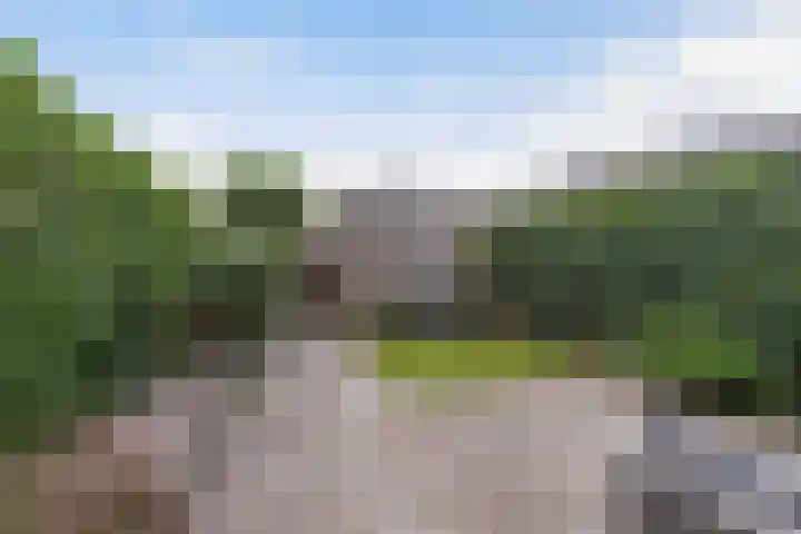 Argusvlinder 8 Apeldoorn thumbnail 32