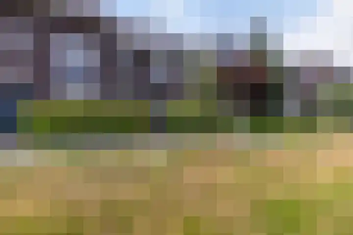 Argusvlinder 8 Apeldoorn thumbnail 34