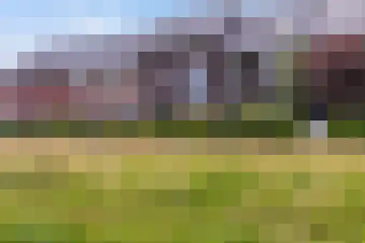 Argusvlinder 8 Apeldoorn thumbnail 37