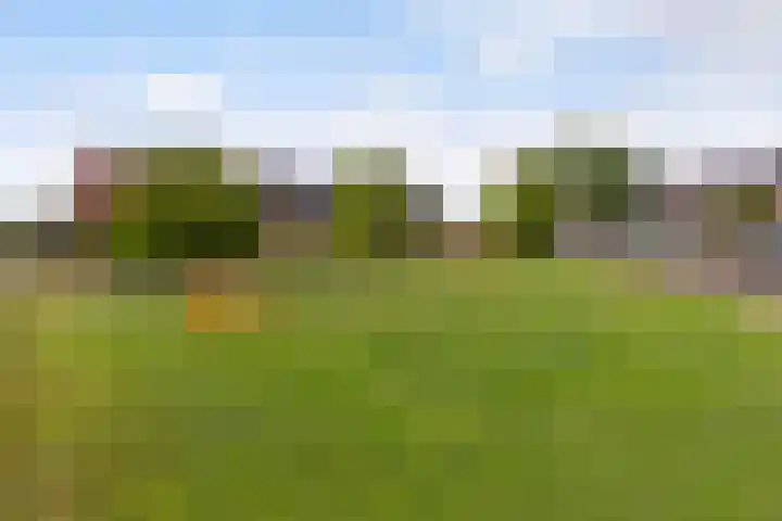 Argusvlinder 8 Apeldoorn thumbnail 39