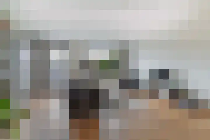 Argusvlinder 8 Apeldoorn thumbnail 4