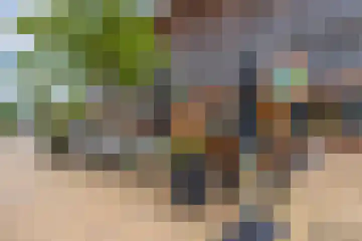Argusvlinder 8 Apeldoorn thumbnail 41