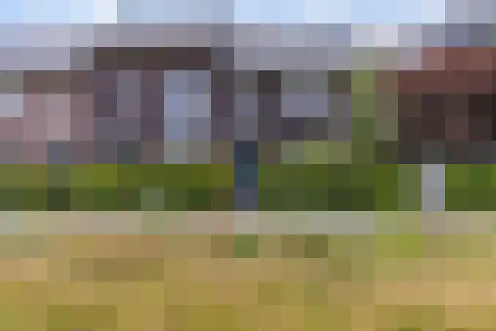 Argusvlinder 8 Apeldoorn thumbnail 50