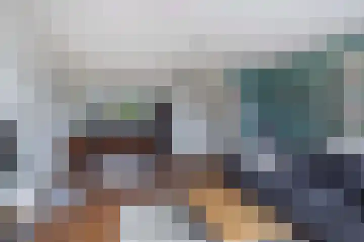 Argusvlinder 8 Apeldoorn thumbnail 7