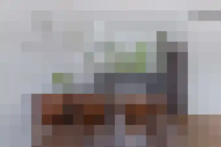 Argusvlinder 8 Apeldoorn thumbnail 8