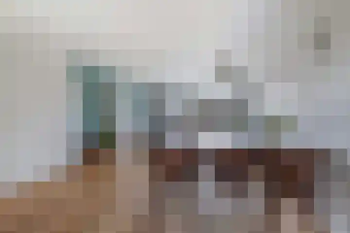 Argusvlinder 8 Apeldoorn thumbnail 9