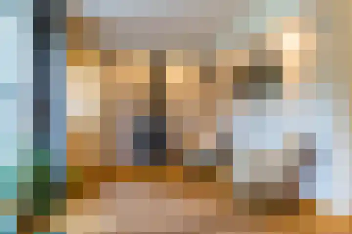 Ariane 10 Heeze thumbnail 12