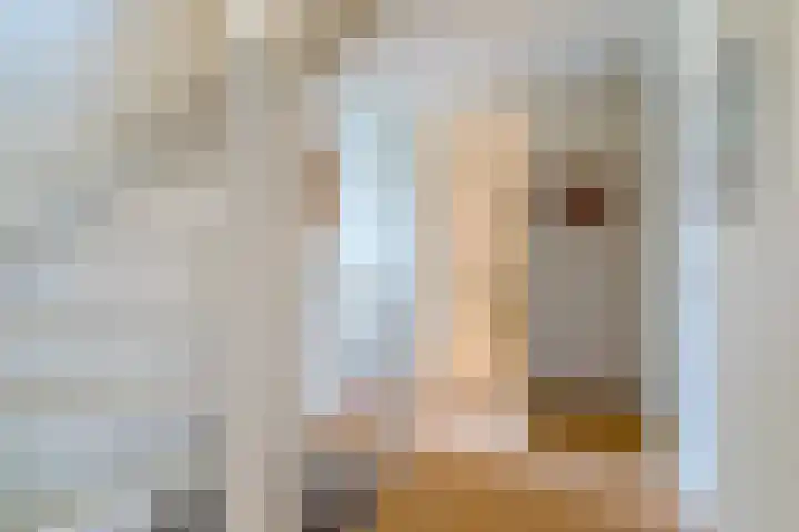 Ariane 10 Heeze thumbnail 18