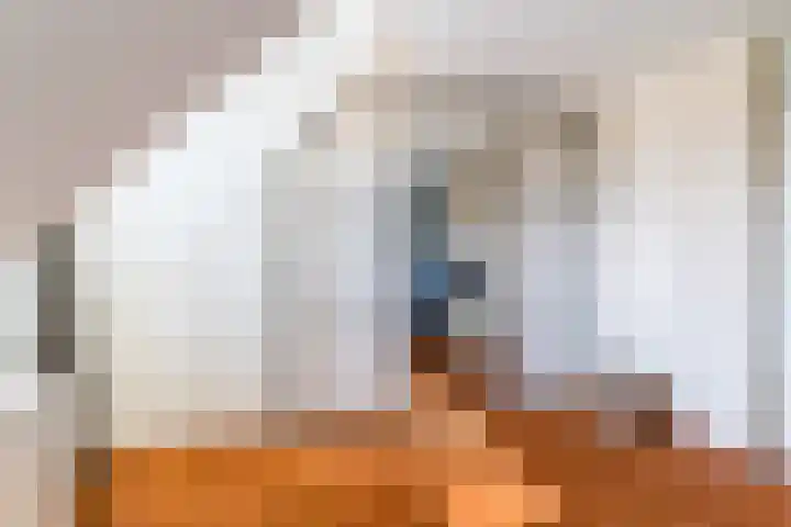 Ariane 10 Heeze thumbnail 21