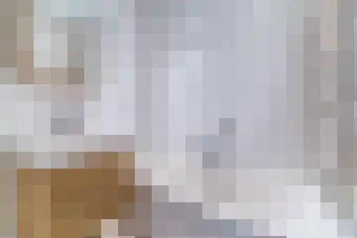 Ariane 10 Heeze thumbnail 26