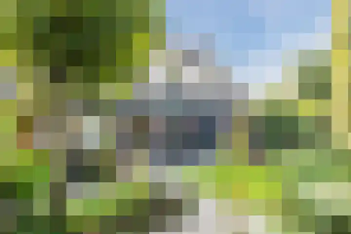 Ariane 10 Heeze thumbnail 33