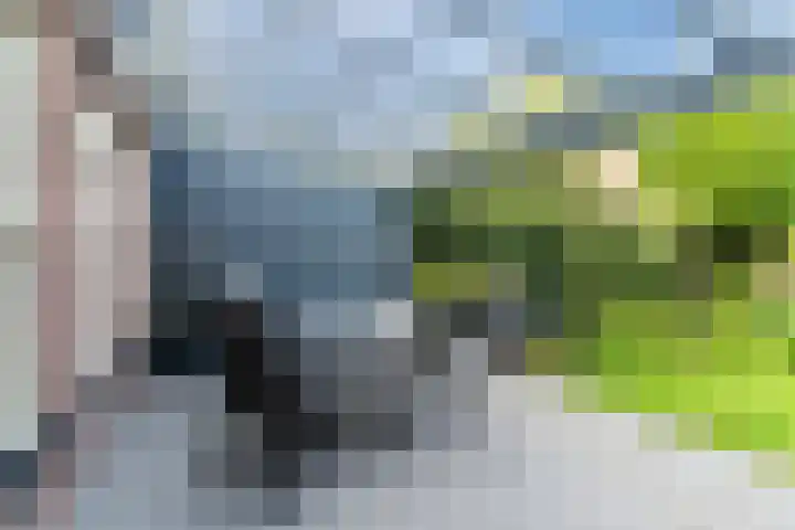Ariane 10 Heeze thumbnail 36