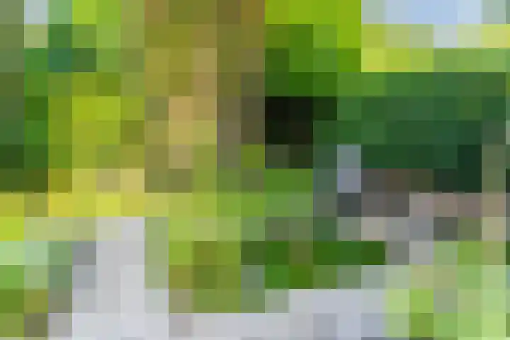 Ariane 10 Heeze thumbnail 37