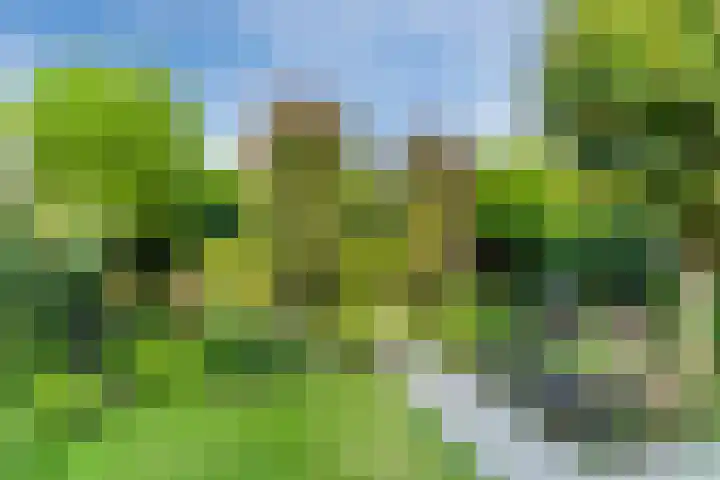 Ariane 10 Heeze thumbnail 38