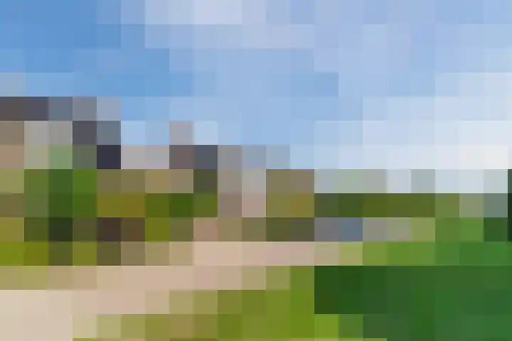Ariane 10 Heeze thumbnail 40