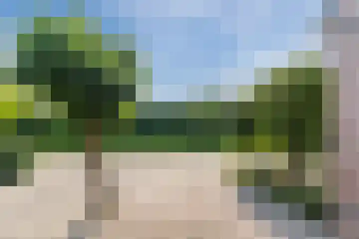 Ariane 10 Heeze thumbnail 41