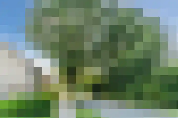 Ariane 10 Heeze thumbnail 42