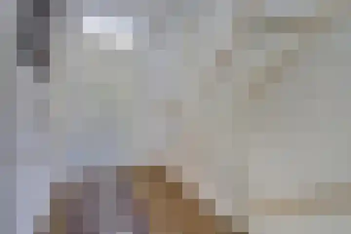 Arianehof 32 Ermelo thumbnail 17