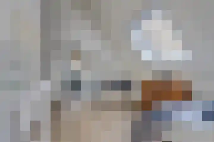 Arianehof 32 Ermelo thumbnail 28