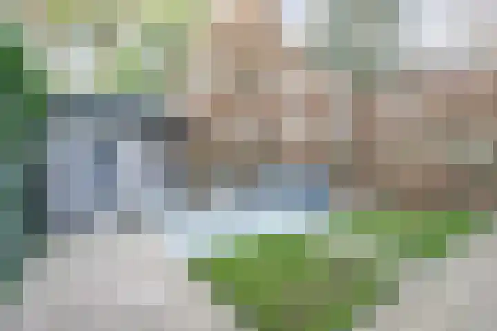 Arianehof 32 Ermelo thumbnail 33