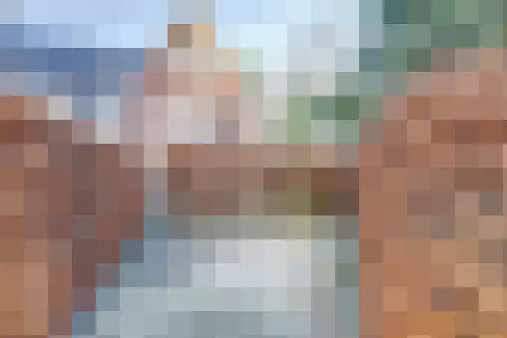 Arianehof 32 Ermelo thumbnail 36