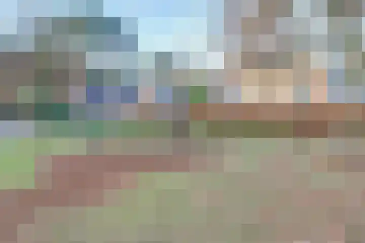 Arianehof 32 Ermelo thumbnail 40