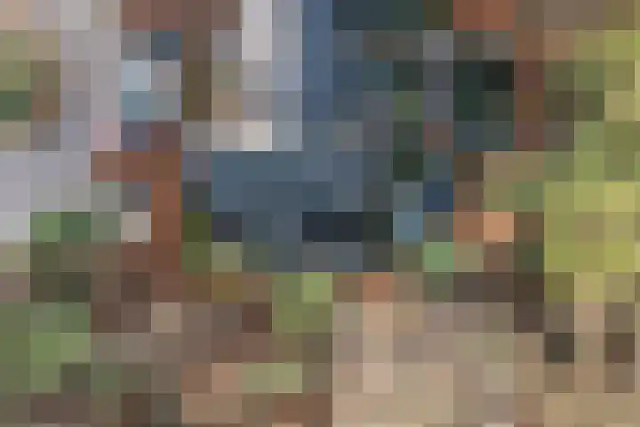 Arianehof 32 Ermelo thumbnail 44