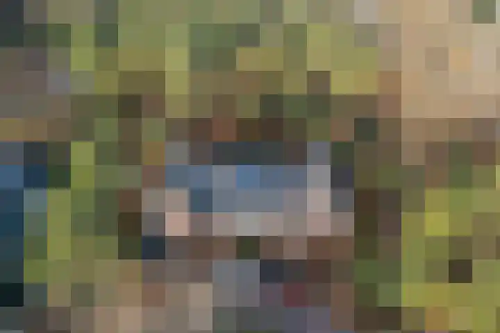 Arianehof 32 Ermelo thumbnail 45