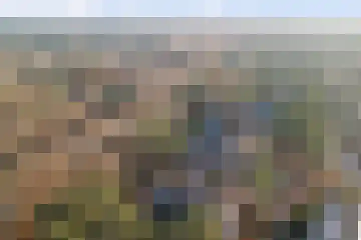 Arianehof 32 Ermelo thumbnail 47