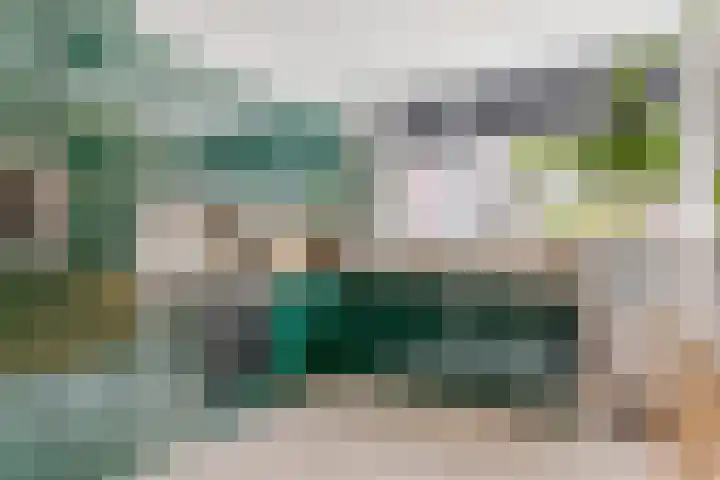 Ariënswei 3 Venlo thumbnail 10