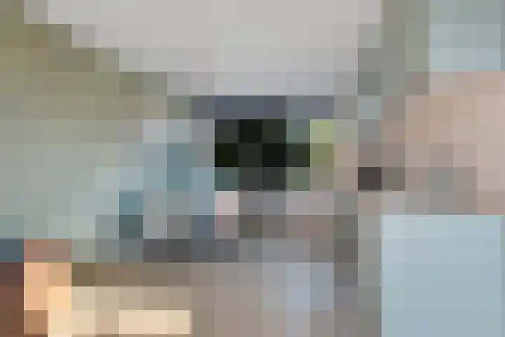 Arisstraat 3 Wormer thumbnail 14