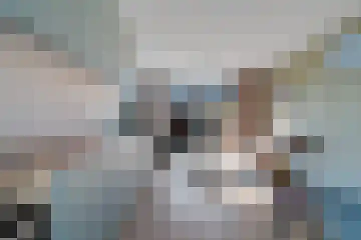 Arisstraat 3 Wormer thumbnail 15