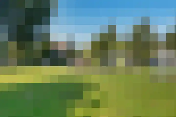 Arisstraat 3 Wormer thumbnail 37