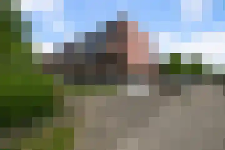 Arisstraat 96 Wormer thumbnail 29