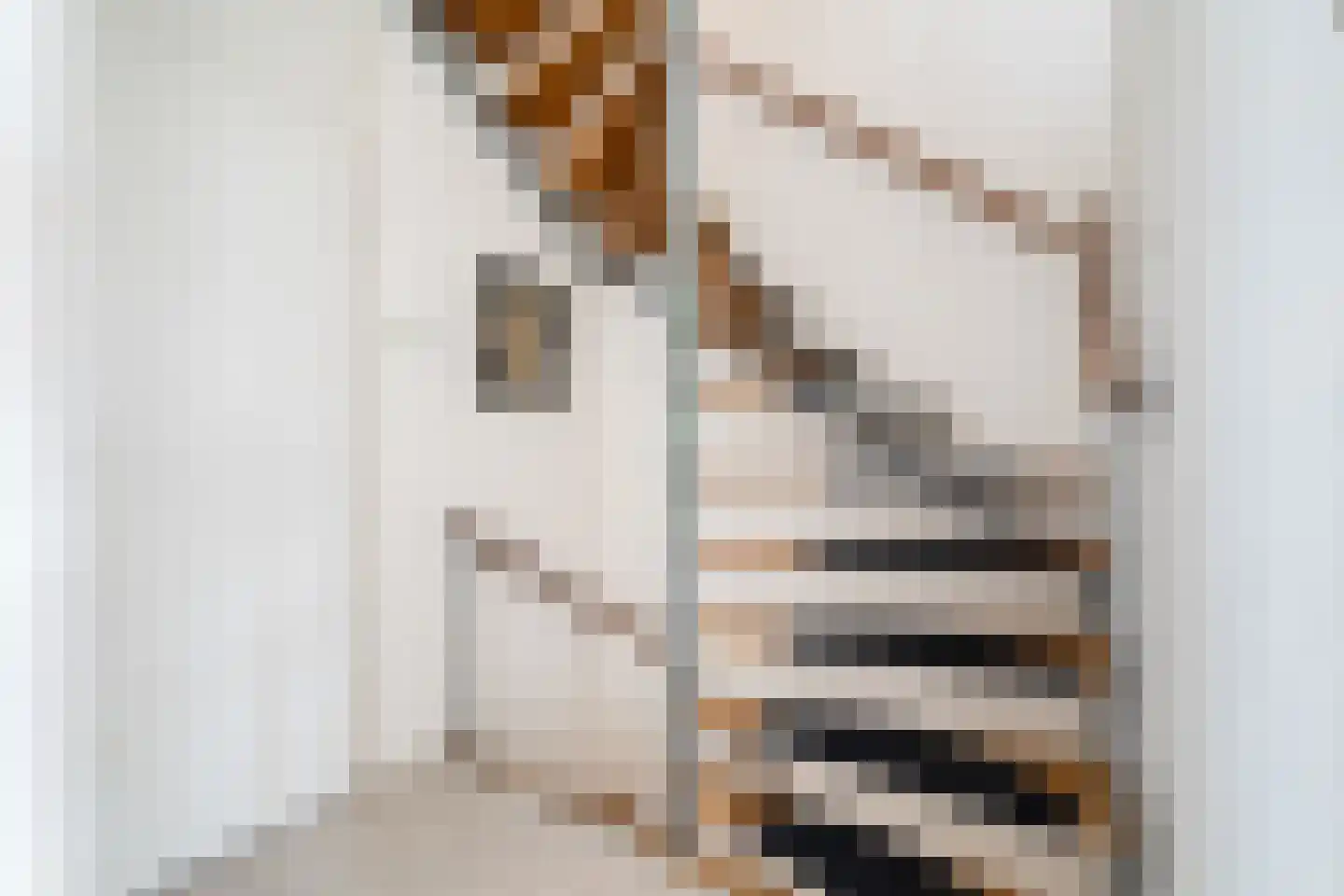 Aristide Briandstraat 35 in Diemen