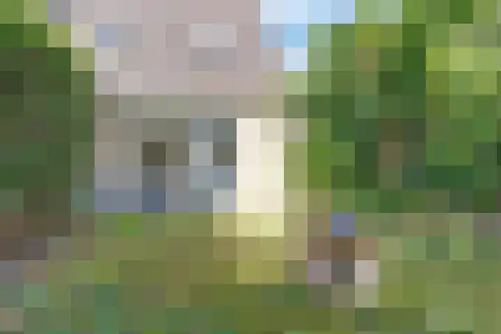 Aristoteleshof 35 Arnhem thumbnail 22