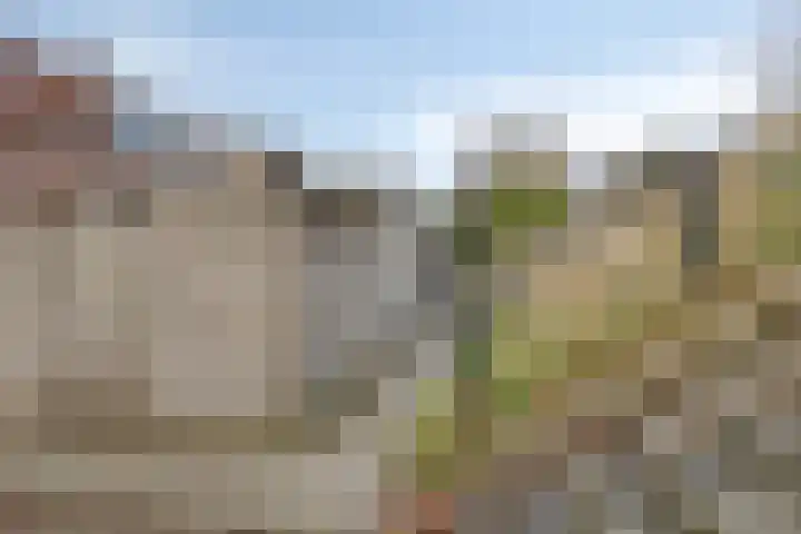 Arkelsedijk 85 Gorinchem thumbnail 7