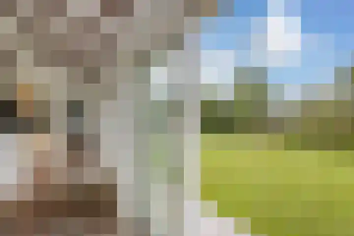 Arkenpark Mur 21 Vinkeveen thumbnail 12