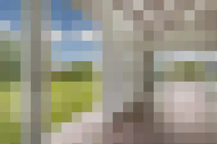 Arkenpark Mur 21 Vinkeveen thumbnail 18