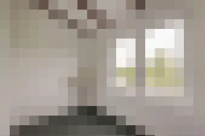 Arkenpark Mur 21 Vinkeveen thumbnail 23