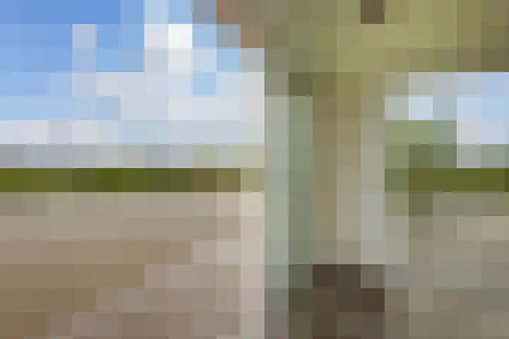Arkenpark Mur 21 Vinkeveen thumbnail 7