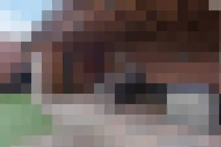 Arlo 11 Tynaarlo