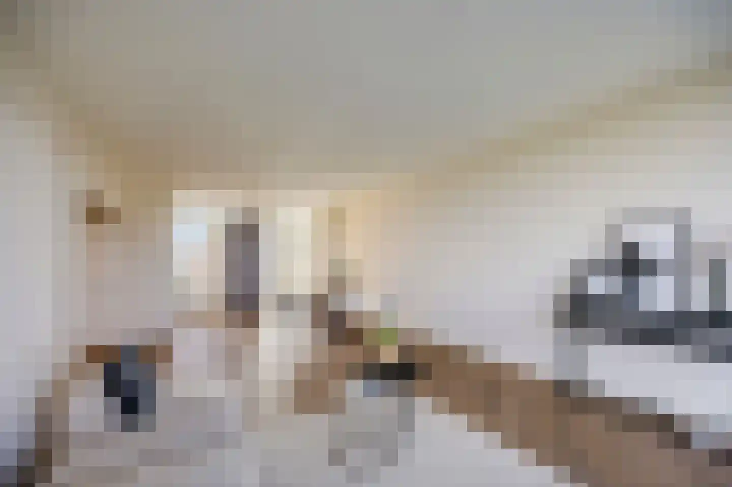 Arlo 34 Roermond thumbnail 13