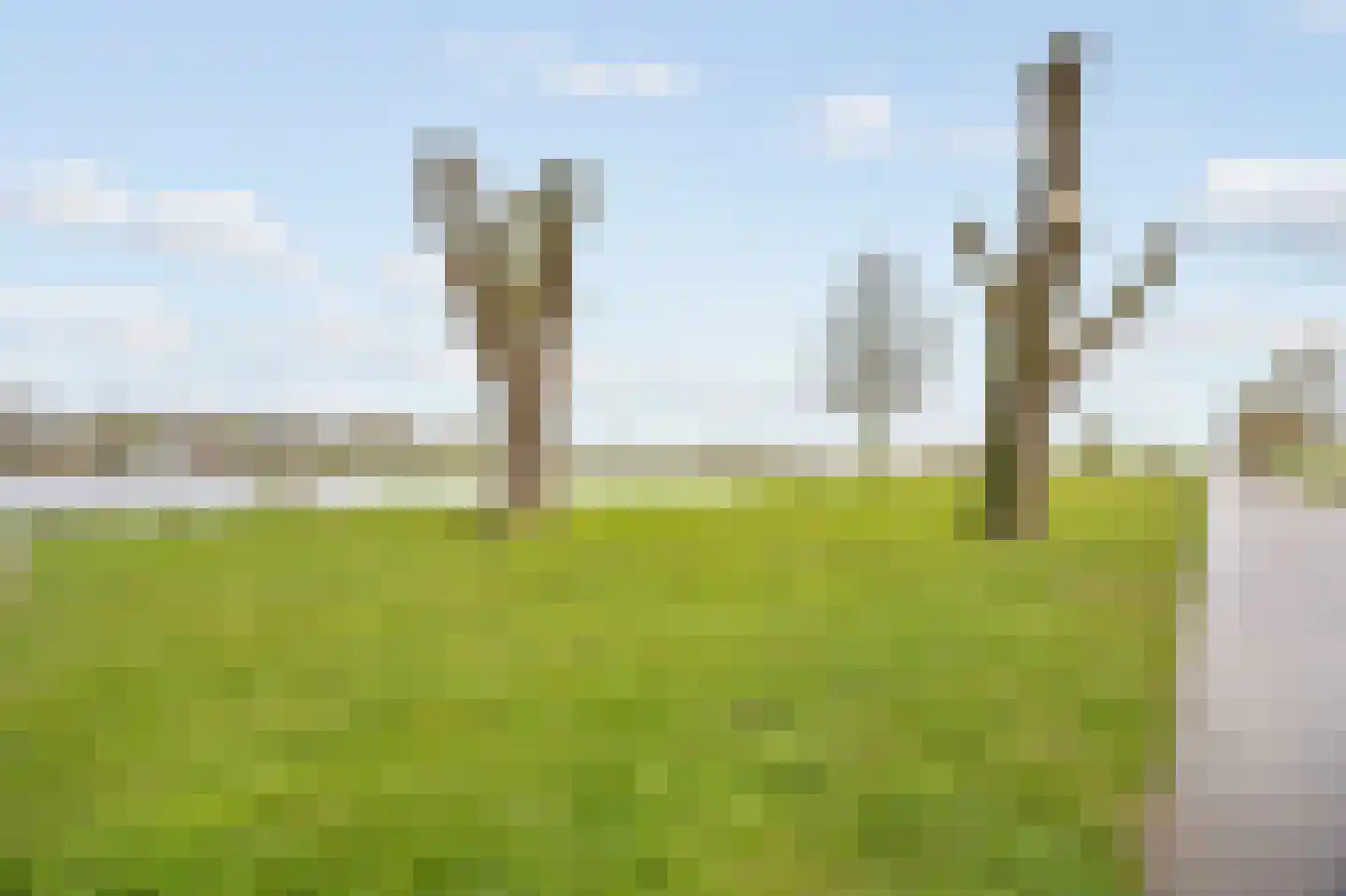 Arlo 34 Roermond thumbnail 44