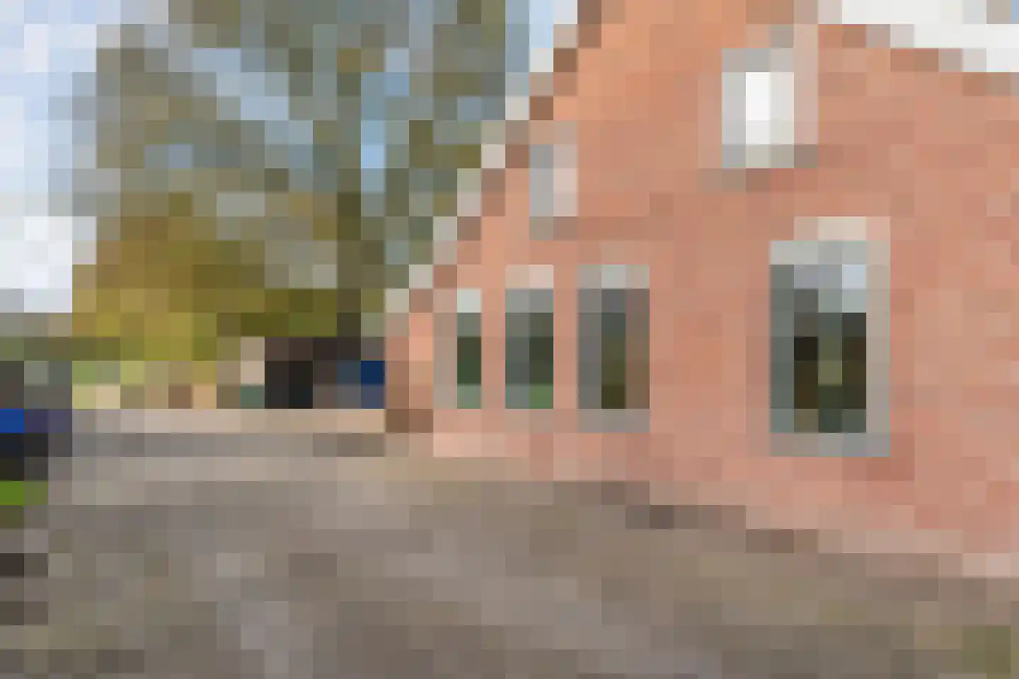 Armweide 5 Ruinen thumbnail 14