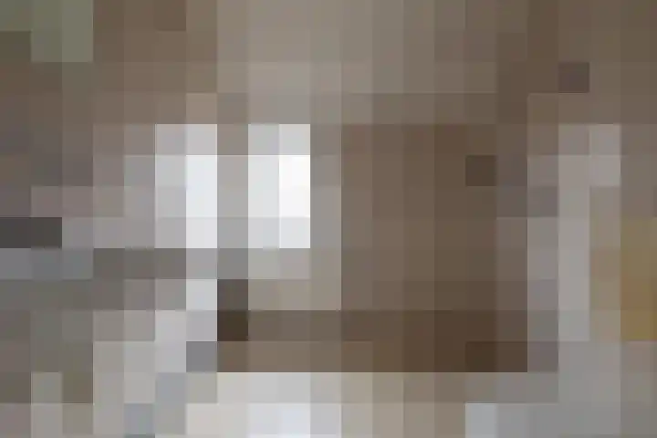 Armweide 5 Ruinen thumbnail 21
