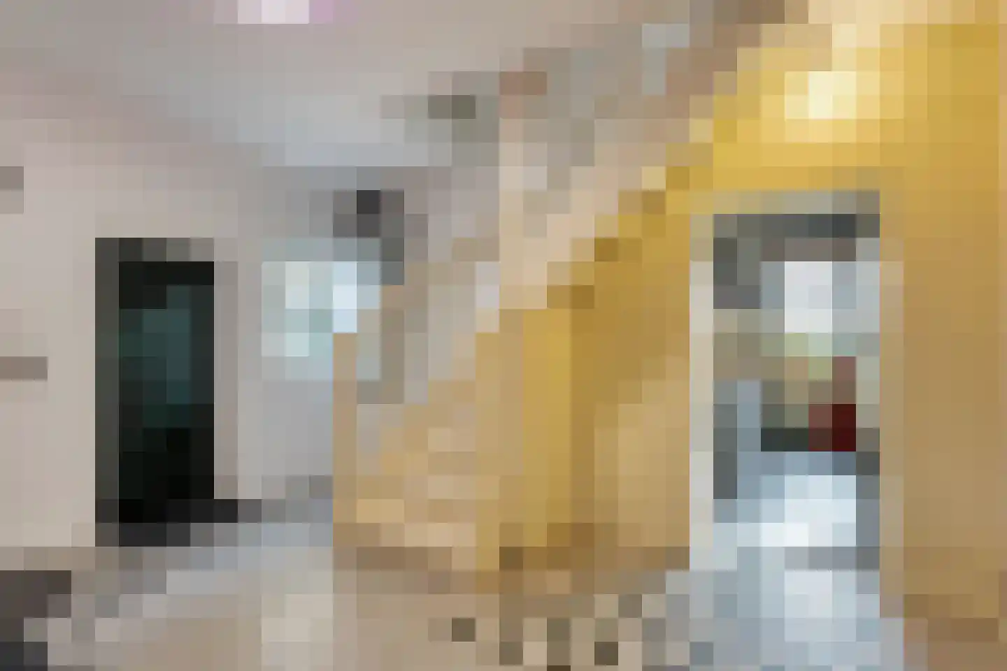 Armweide 5 Ruinen thumbnail 21