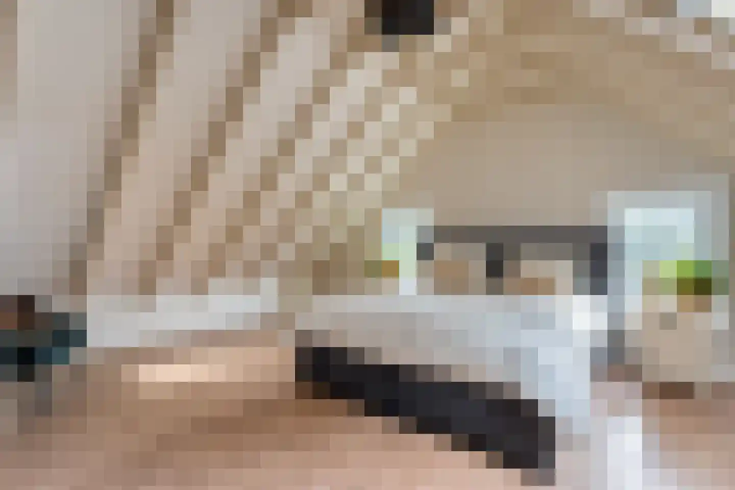 Armweide 5 Ruinen thumbnail 26