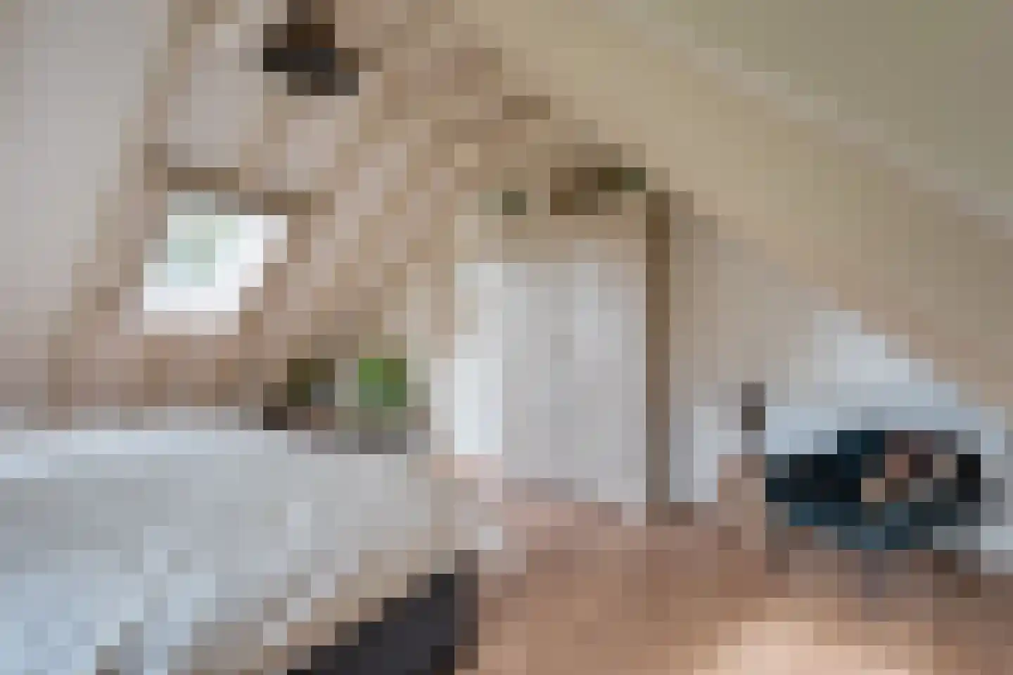 Armweide 5 Ruinen thumbnail 27