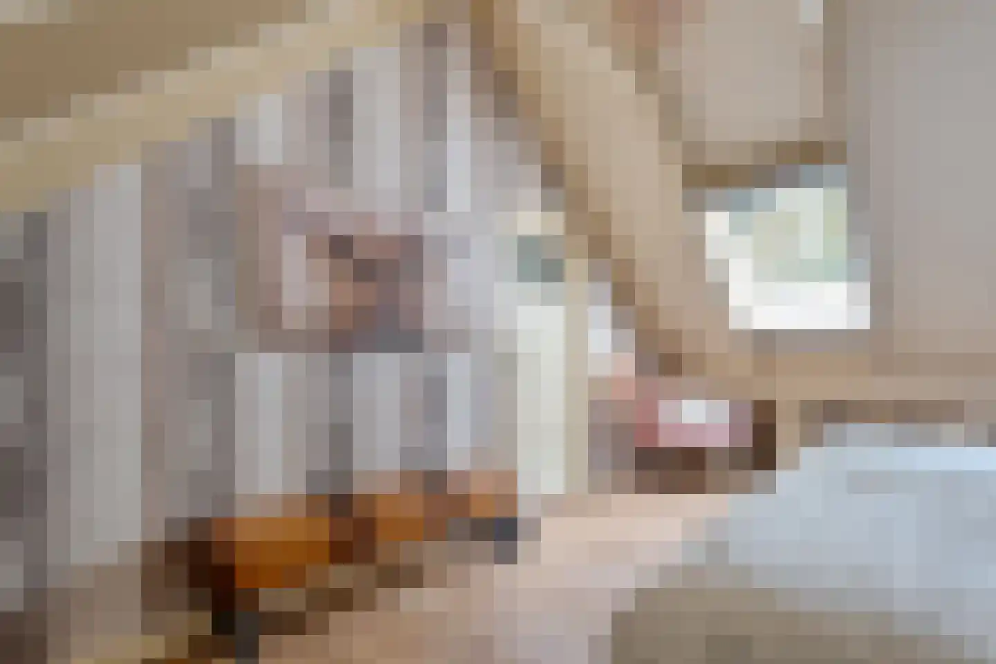 Armweide 5 Ruinen thumbnail 32